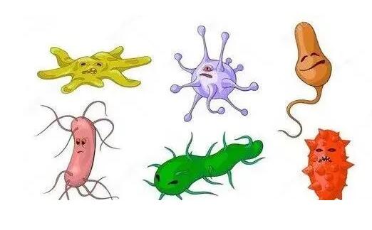 污水处理中常见的微生物生长条件