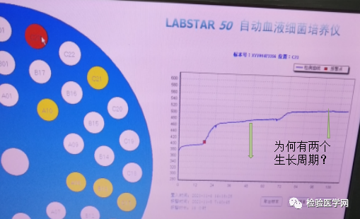 厌氧血培养生长曲线异常，出现两个生长周期【案例分析】