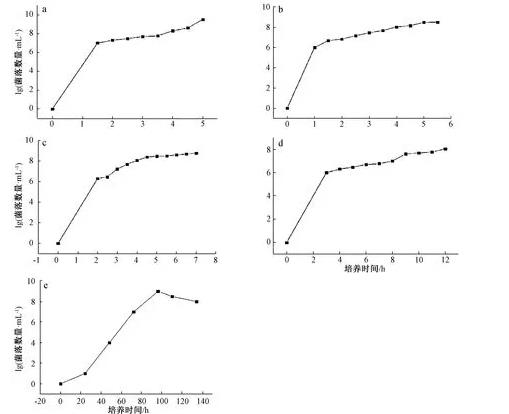 大肠埃希菌、白色念珠菌、黑曲霉等5种标准菌生长曲线测定方法与经验分享
