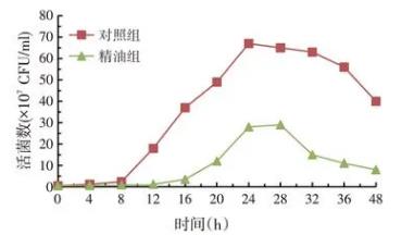 ​松针精油对梭状芽孢杆菌、酵母菌、串珠镰刀菌生长曲线的影响