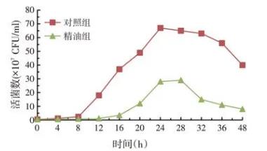 ​松针精油对梭状芽孢杆菌、酵母菌、串珠镰刀菌生长曲线的影响