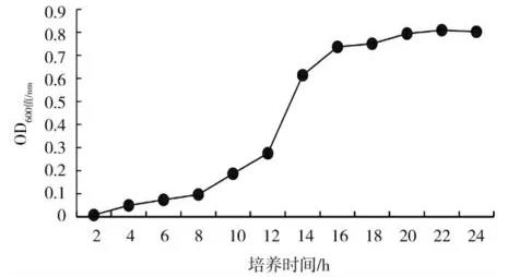 化脓隐秘杆菌HJ-1的生长曲线测定与生长期确定