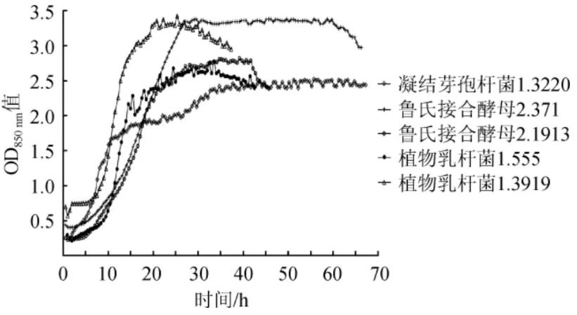 凝结芽孢杆菌、鲁氏结合酵母和植物乳杆菌生长曲线测定结果