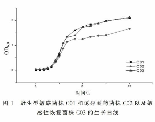 野生型大肠杆菌生长曲线测定及氟喹诺酮类药物敏感性研究