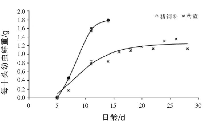 基于黑水虻幼虫生长曲线测定探讨中药渣的最佳投喂量