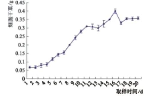 欧洲花楸悬浮细胞液生长曲线变化实验