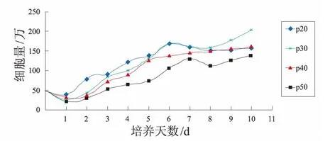 人胚肺二倍体细胞不同代次Walvax-2细胞周期及衰老程度评定