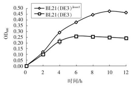 不同碳源培养基中大肠杆菌生长曲线测定