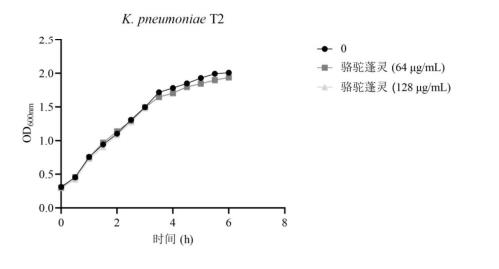 生长曲线试验验证骆驼蓬灵破坏细菌外排泵的功能