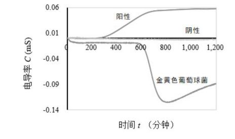 怎么测定细菌在血液中生长代谢是否产生凝固酶的自动化方法