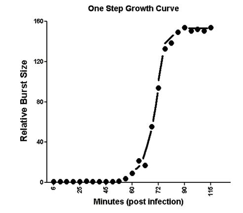 噬菌体ΦSboM-AG3的一步生长曲线、形态、宿主范围测定