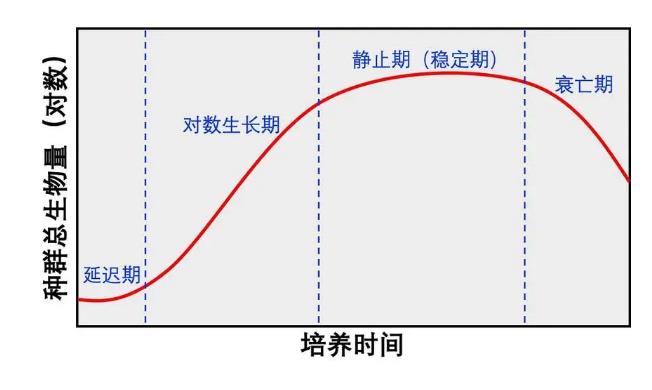 生长曲线对于哺乳动物细胞培养的意义与操作注意事项