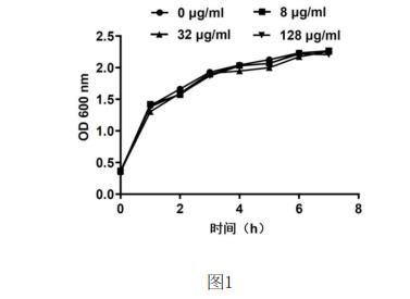 生长曲线试验：槲皮素通过抑制PPK1酶活性降低鲍曼不动杆菌耐受性