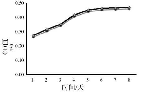 2型糖尿病db/db小鼠血管内皮细胞培养与生长曲线检测