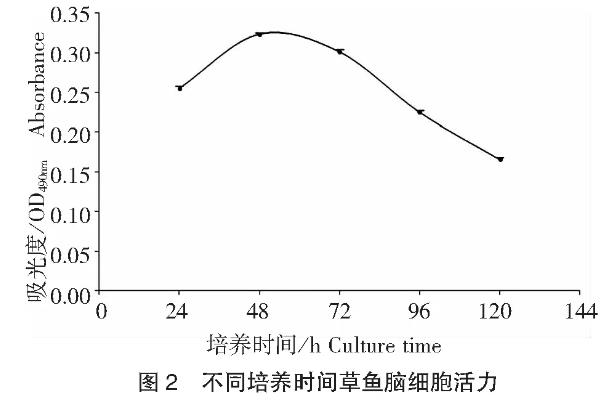 草鱼脑细胞的原代培养方法及细胞活力测定