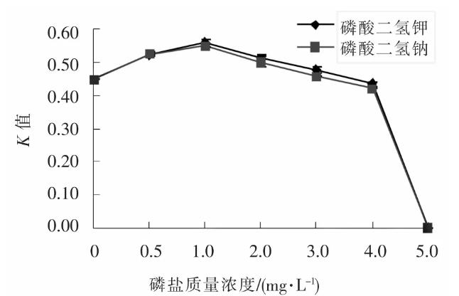直链藻生长影响因素：温度、盐度、光照、pH、氮、磷、铁、