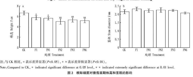 根际细菌对番茄幼苗根系及生长的影响、应用潜力与风险（二）