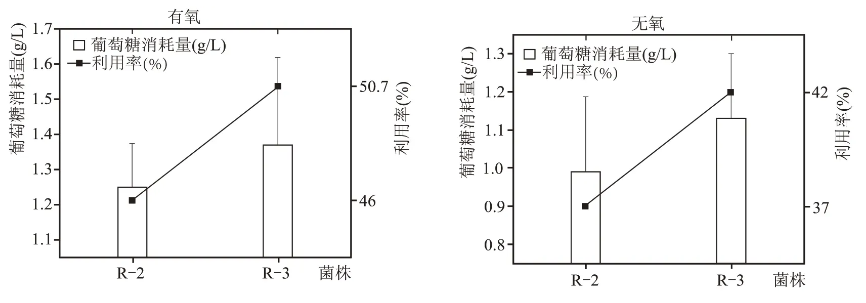 老窖泥筛选分离的6株乳酸利用菌培养、发酵性能、生长范围（二）