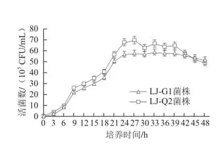 素食者产雌马酚肠道菌生长规律及生长条件优化（二）