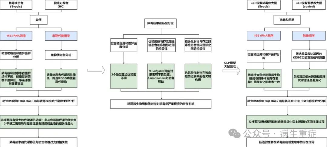 阐明脓毒症中肠道微生物群和代谢物的组成及其与疾病进展的关系（一）