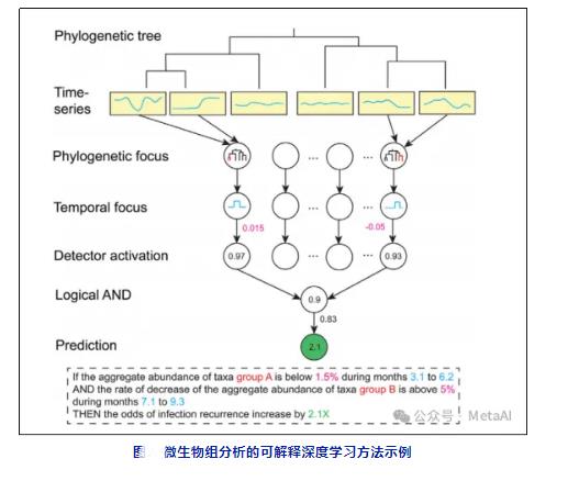 ​未来人工智能在微生物组的应用潜力与用途