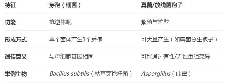 芽孢是微生物还是细菌的一种？芽孢有繁殖功能吗