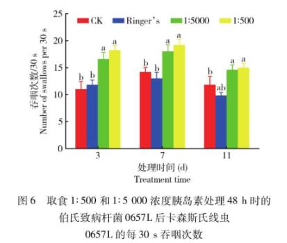 胰岛素对昆虫病原线虫及其共生细菌伯氏致病杆菌生长、寿命的影响（四）