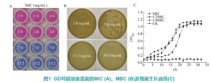 甘胆口服液对副溶血弧菌细胞结构及体外抑菌活性影响——摘要
