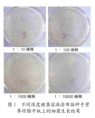 芽孢杆菌对黄曲霉毒素B1、呕吐毒素、玉米赤霉烯酮的降解作用——材料与方法