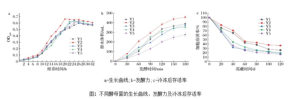 不同酵母的生长曲线、发酵力、耐冻性能测定及发酵面团感官评定（二）