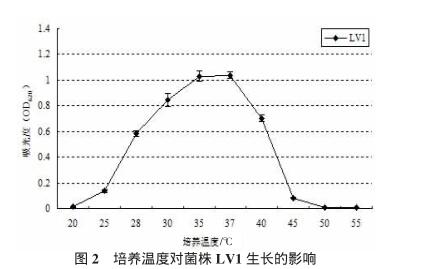 驴用微生态制剂干酪乳酸杆菌筛选、生理生化鉴定及生长条件（二）