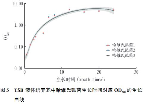 斜带石斑鱼哈维氏弧菌分离纯化、生长曲线绘制及耐药性研究（三）