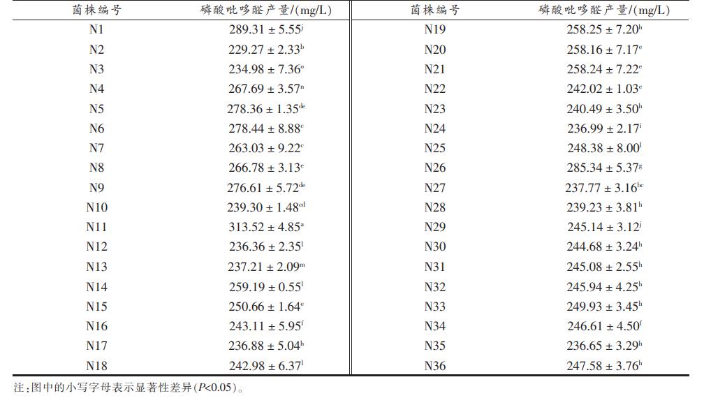 高产磷酸吡哆醛功能性乳酸菌筛选、最适生长温度及生长曲线图绘制（二）