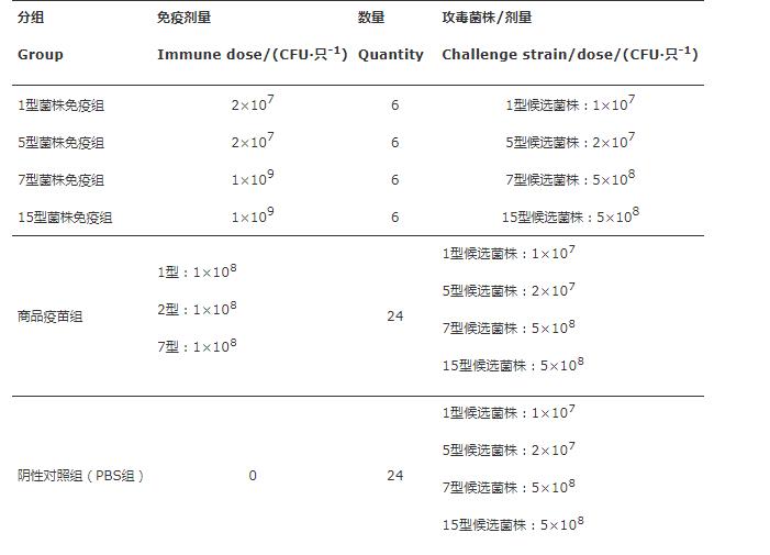 疫苗候选菌株：猪胸膜肺炎放线杆菌生长曲线、溶血活性、 耐药性测定（二）