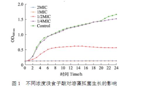 不同浓度没食子酸对溶藻弧菌生长、电导率生、物被膜形成、泳动聚集能力的影响（一）