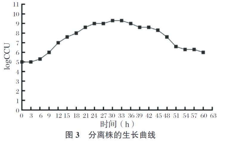 牛支原体分离株YJ-22的分离鉴定、生长特性、致病性及免疫原性研究（三）
