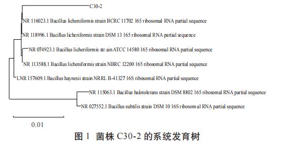 地衣芽孢杆菌的生长曲线测定、生理生化特性、益生性能研究（一）