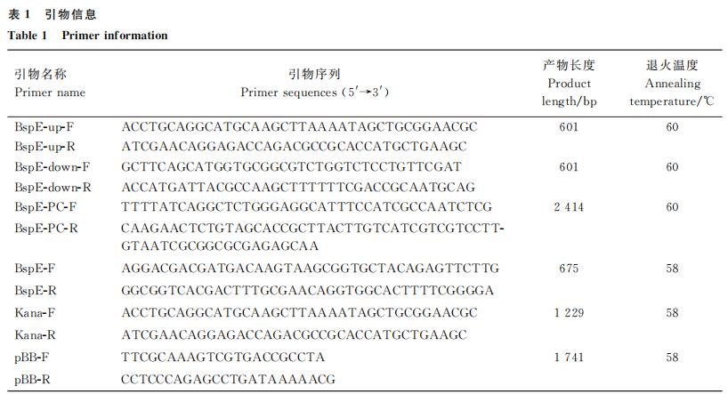 BspE 基因缺失对牛种布鲁氏菌体外生长、胞内生存、黏附能力的影响（一）