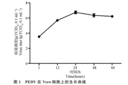 猪流行性腹泻病毒生长曲线的测定及盐霉素对其抑制效果（一）