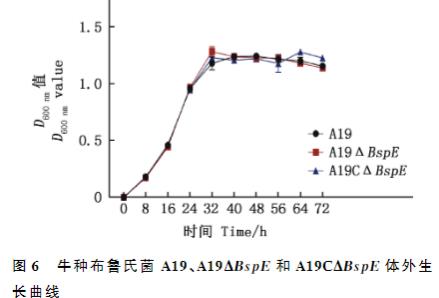 BspE 基因缺失对牛种布鲁氏菌体外生长、胞内生存、黏附能力的影响（三）