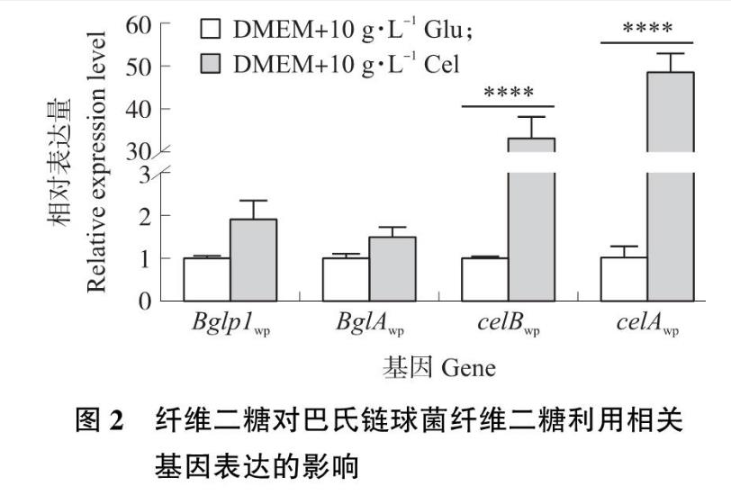 纤维二糖利用基因簇对猪源巴氏链球菌生长曲线及毒力的影响—— 结果与分析、讨论