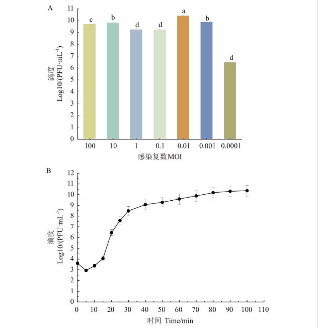 大肠埃希菌的噬菌体DK-13生物学特性及对污染猪肉的杀菌作用（二）