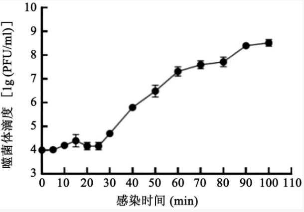 特异裂解肠炎沙门菌噬菌体生物学特性及裂解细菌功效（一）