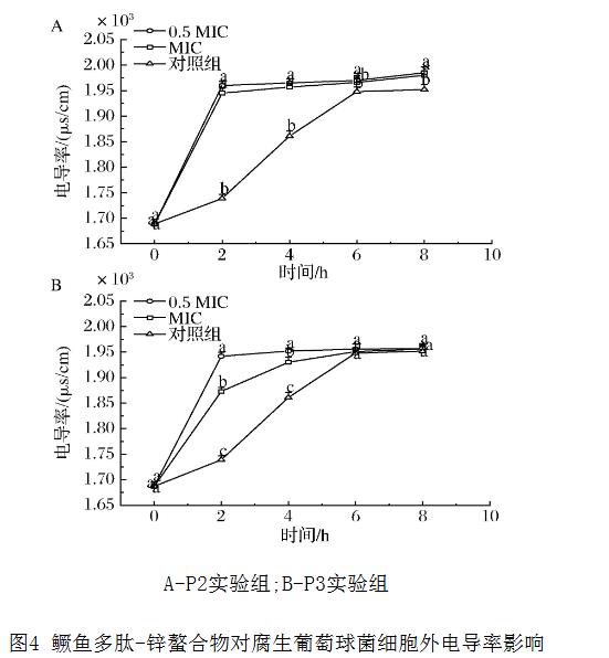 鳜鱼多肽-锌螯合物对腐生葡萄球菌抑菌圈、过氧化氢酶活力、生长曲线的影响（三）
