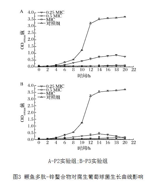 鳜鱼多肽-锌螯合物对腐生葡萄球菌抑菌圈、过氧化氢酶活力、生长曲线的影响（二）