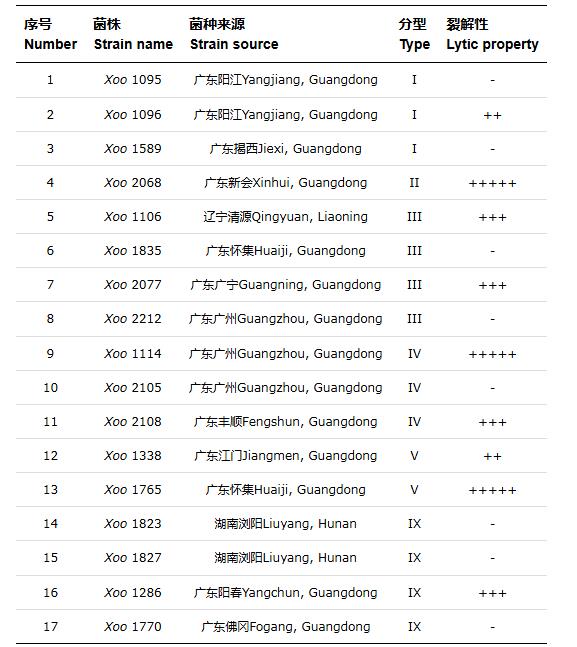 水稻黄单胞菌噬菌体最佳MOI (A)、一步生长曲线、耐受性测定及基因组分析（一）