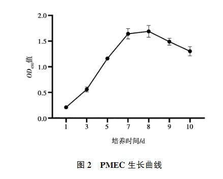 猪乳腺上皮细胞原代培养方法、生长曲线测定、IFA、PCR、免疫印迹试验鉴定（二）