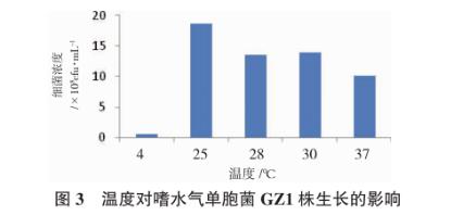 不同温度、盐度、pH、碳源、氮源对嗜水气单胞菌的生长影响（二）