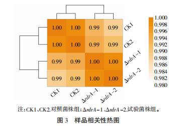 乳酸乳球菌F44生长曲线、pH曲线、酸耐受、Nisin耐受和Nisin效价（三）