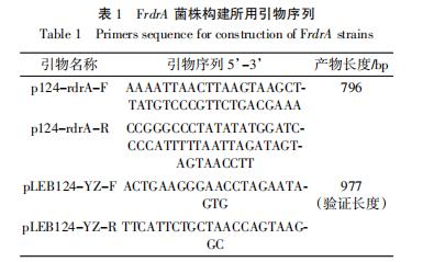 乳酸乳球菌F44生长曲线、pH曲线、酸耐受、Nisin耐受和Nisin效价（一）
